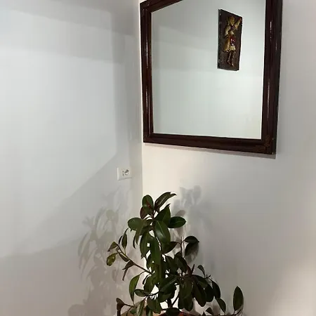 Zefi Rrencc Appartement Shkodër