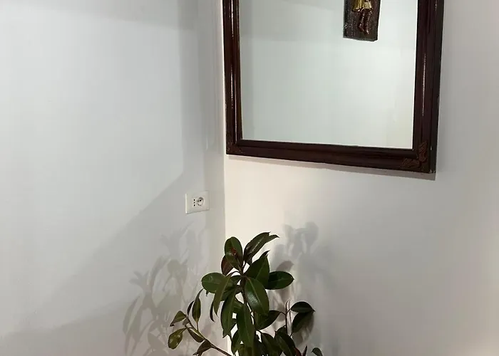 Zefi Rrencc Lejlighed Shkodër