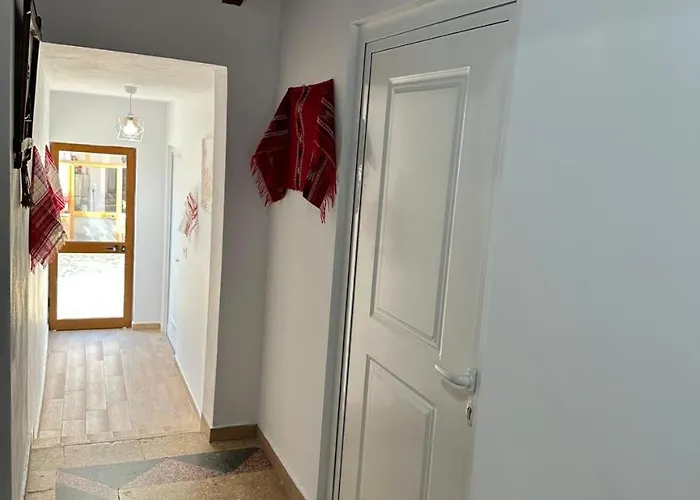 Zefi Rrencc Lejlighed *