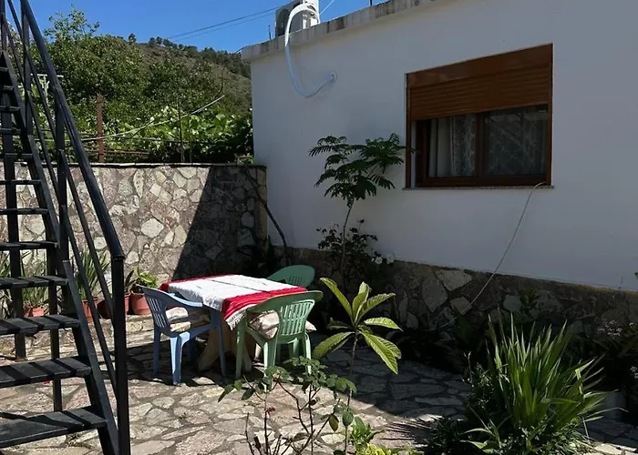 Zefi Rrencc Shkodër